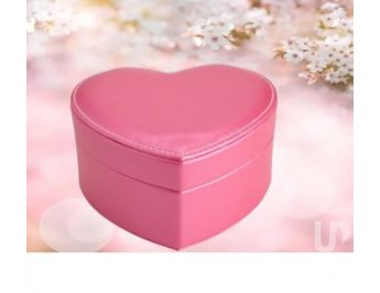 P$CX7611 Porta-Joias